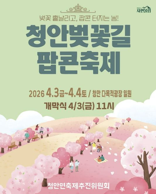 청안벚꽃길팝콘축제 포스터