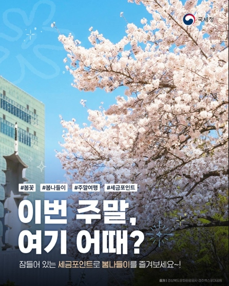 벚꽃이 만개한 봄 풍경과 세금포인트 봄나들이 안내 포스터