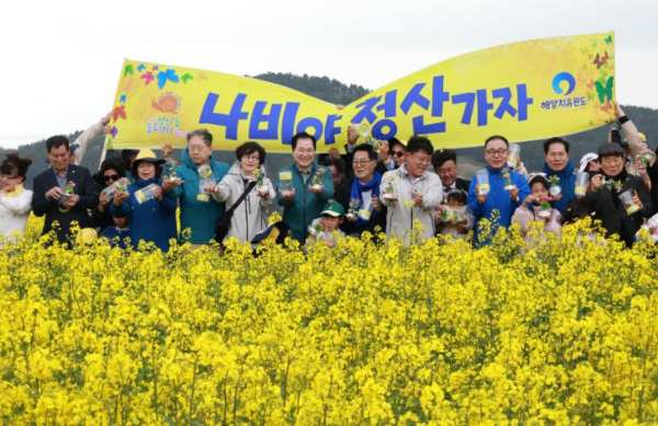 청산도 슬로걷기 축제 개막 행사와 유채꽃밭 전경