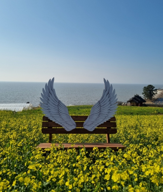 영광 백수해안도로 유채꽃밭과 바다를 배경으로 설치된 포토존
