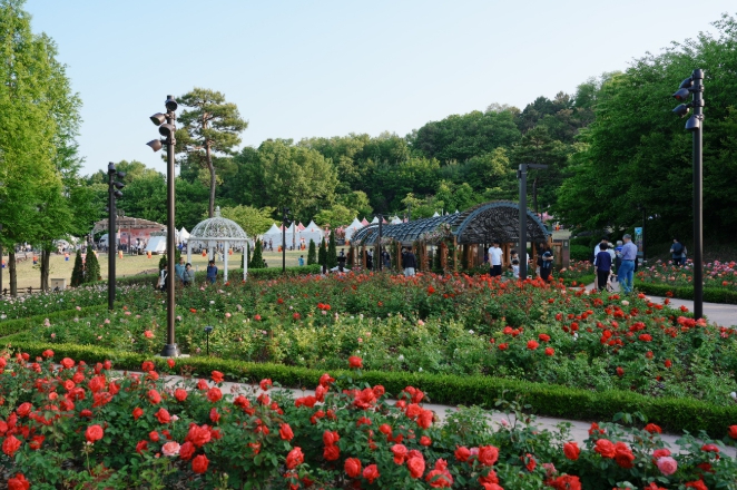 오산 고인돌공원 장미 정원 풍경
