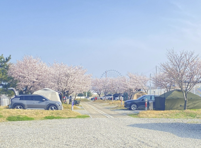 당진시 공공야영장 전경