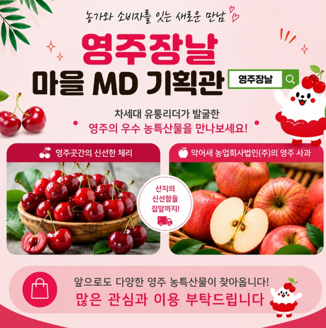 영주장날 마을 MD 기획관 홍보물