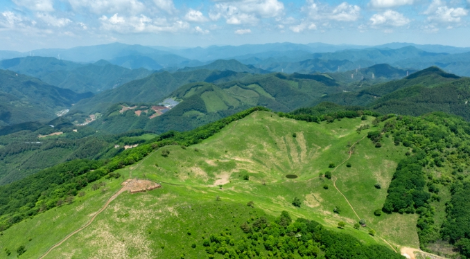 민둥산 돌리네 초원 전경