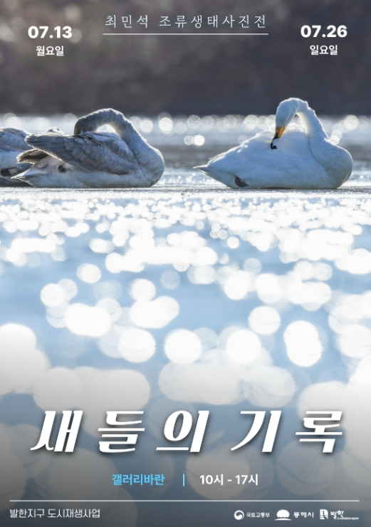 최민석 조류생태사진전 '새들의 기록' 포스터