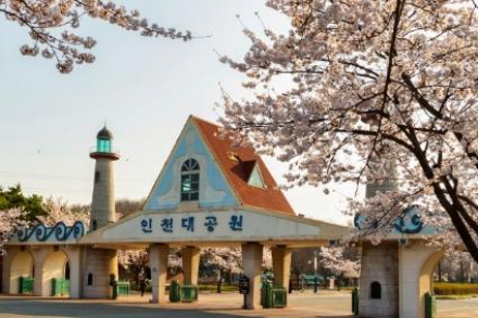 인천시, 4월 봄 여행지 추천, 벚꽃 명소·야경·섬 트레킹 코스