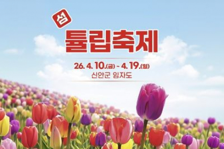 신안군, 4월 10일부터 '2026 섬 튤립축제' 개최