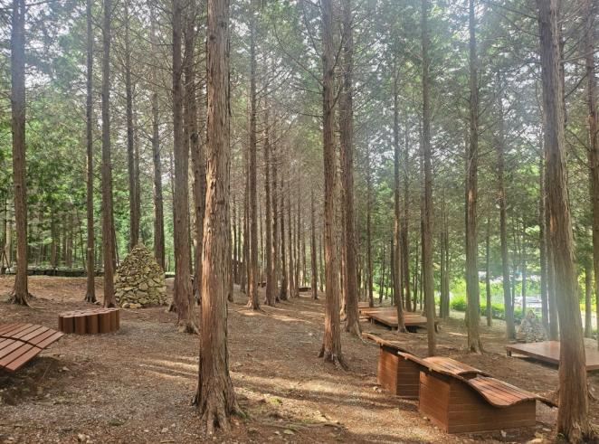 고흥군, 봄 힐링 트레킹 코스 3선 추천, 숲·바다·해안 절경 한 번에