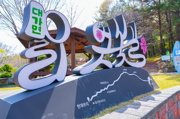 고성군, 대가십리벚꽃길 야간조명 3월 30일 점등, 밤 벚꽃 명소 기대