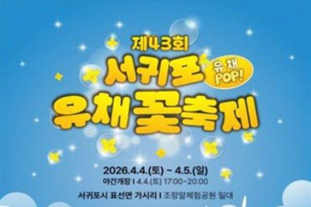 서귀포시, 서귀포유채꽃축제 4월 4~5일 개최, 야간 개장·유채런 운영