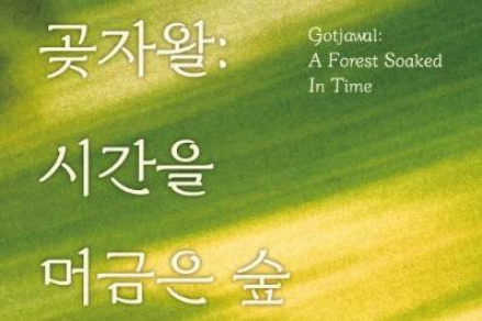 제주도, ‘곶자왈: 시간을 머금은 숲’ 전시 개최, 생태와 시간의 의미 조명