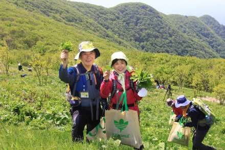 영양군, ‘영양산나물축제’ 5월 7~10일 개최, 미식·체험 결합 체류형 축제로 확대