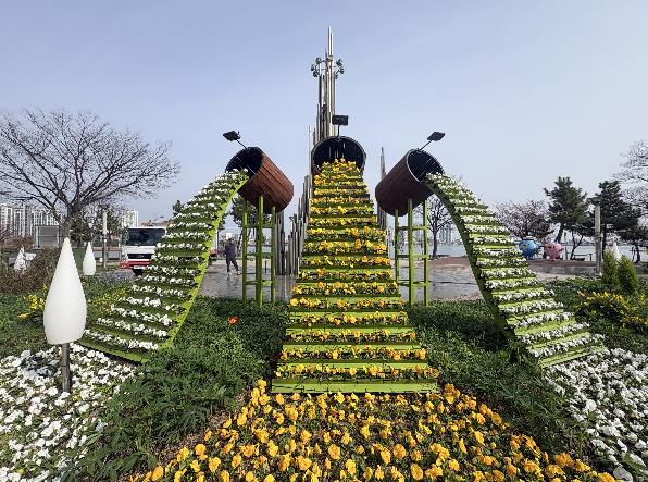 속초시, 청초호유원지 봄꽃 조성 7만 본 식재 완료, 튤립 조기 개화 기대