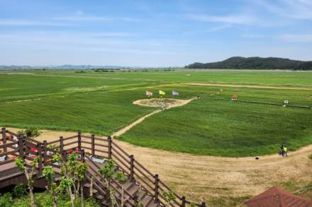 김제시, 새만금 보리밭 축제 5월 1~3일 개최, 청보리 경관 속 체험·먹거리 행사