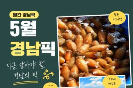 경상남도, ‘5월 경남픽’ 선정, 미더덕·정글빵·이수도 등 지역 관광콘텐츠 소개