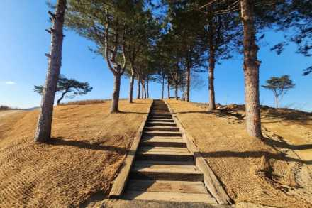 충청북도, 국가생태탐방로 3곳 올해 준공, 진천·괴산·단양 도보 명소 확대