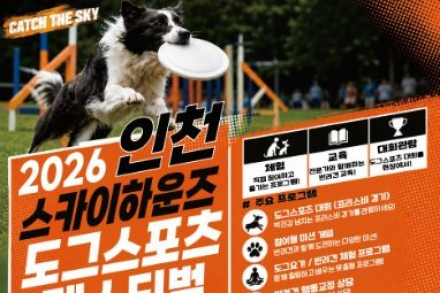 인천시, ‘인천 스카이하운즈 도그스포츠 페스티벌’ 5월 24일 개최, 반려동물 체험 프로그램 운영