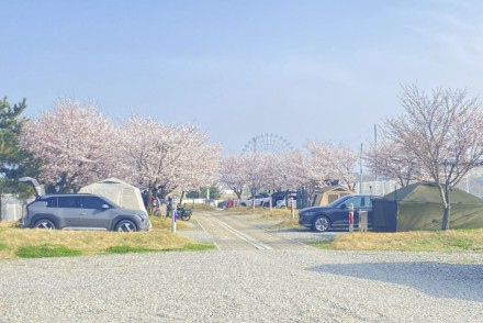 당진시 공공야영장 이용객 증가, 예약체계 개선 효과, 캠핑 관광지로 인기 확대