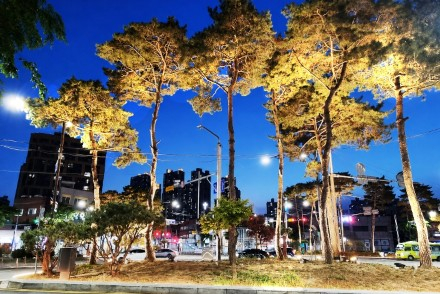 인천 동구, 송림오거리 교통섬 야간경관 개선 완료, 원도심 야간 명소 조성