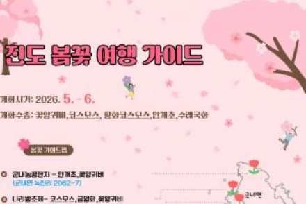 진도군, 늦봄 꽃단지 절정, 꽃양귀비·안개초 명소 눈길