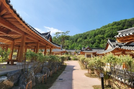 김천시, 솔향스테이 6월 5일 개관, 사명대사공원 숙박시설 확대 운영
