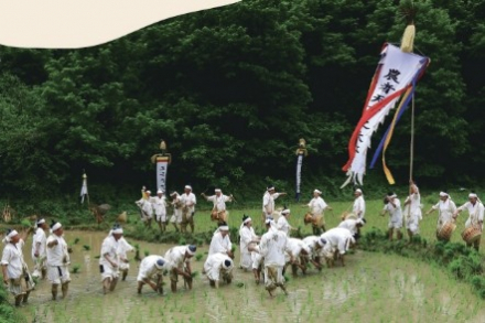 보은군, 장안농요축제 6월 13일 개최, 전통 농경문화 재현하는 논두렁 축제
