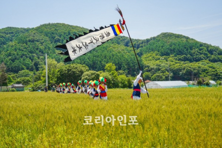 양평군, 양평 밀 축제 6월 13~14일 개최, 황금빛 밀밭에서 즐기는 초여름 축제