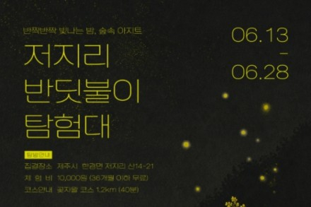 제주도, ‘저지리 반딧불이 탐험대’ 6월 13~28일 운영, 곶자왈 밤숲 생태체험