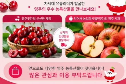 영주시, ‘영주장날 마을 MD 기획관’ 운영, 지역 농특산물 온라인 판로 확대
