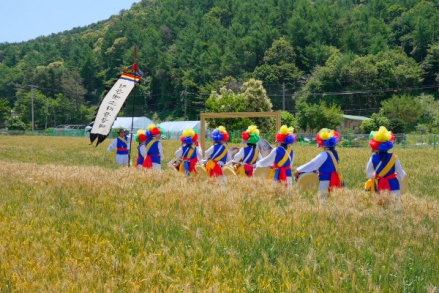 양평군, '제4회 양평 밀 축제' 1만3천여 명 방문, 우리밀 체험·지역 농특산물 인기