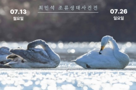 동해시, 최민석 조류생태사진전 '새들의 기록' 7월 26일까지 개최, 자연과 생명의 가치 조명