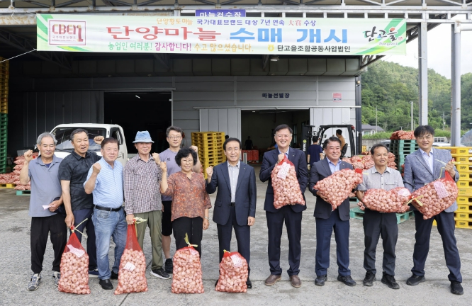 단양군, 2026년산 단양마늘 수매 시작, 수매물량 확대·수매단가 인상