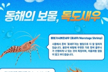 거창군, 천적 생태과학관 독도새우 특별전 9월 30일까지 운영, 살아있는 독도새우 3종 관찰