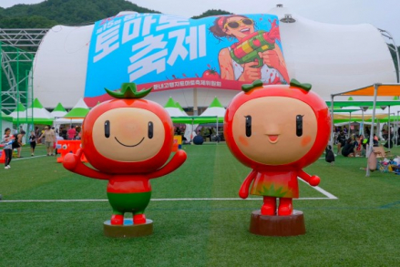 횡성군, ‘제15회 둔내고랭지토마토축제’ 5만 5천여 명 방문, 토마토 풀장·전국노래자랑 인기
