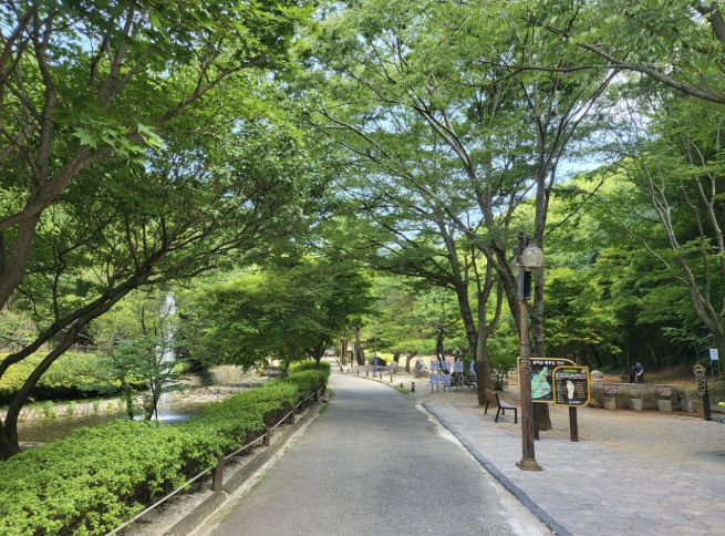 음성군, 봉학골·백야·수레의산 자연휴양림으로 떠나는 여름 여행, 계곡·정원·숲에서 즐기는 휴식