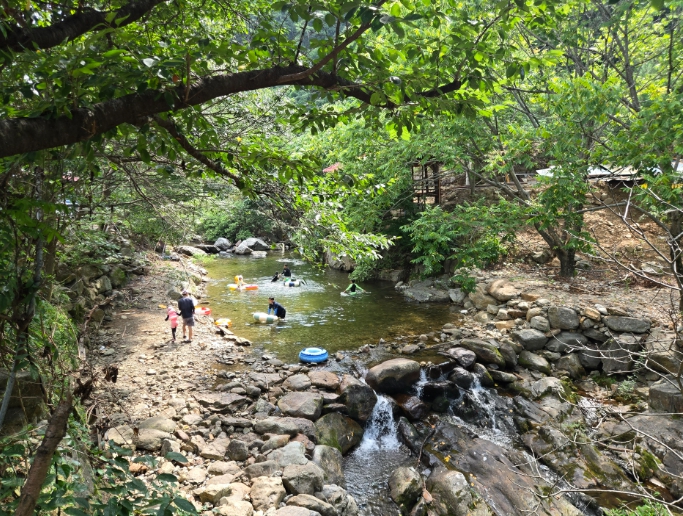 영동군, 여름 피서지 물한계곡 불법시설 정비, 맑은 계곡과 울창한 숲에서 즐기는 휴식