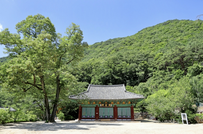 괴산군, 각연사 비로전 국가유산 보물 승격, 조선 전기·고려 건축 수법 함께 간직