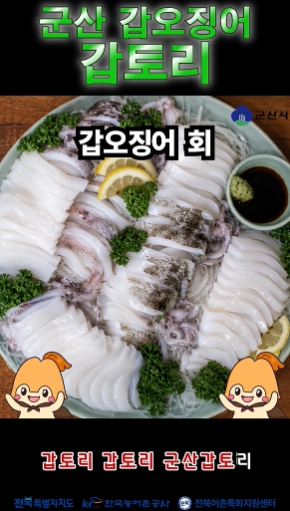 군산시, 갑오징어 캐릭터 ‘갑토리’ 홍보영상 공개, 회·숙회·탕수육부터 군산 관광지까지 소개