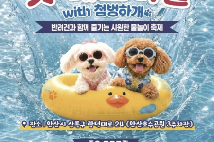 안산시, ‘2026 안산 펫페스티벌 위드 첨벙하개’ 9월 5일 개최, 반려견과 즐기는 물놀이 축제