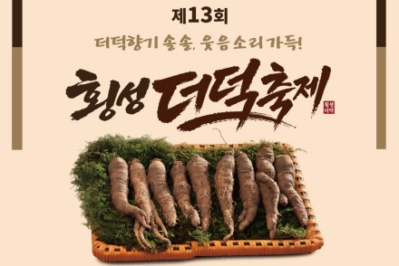 횡성군, ‘제13회 횡성더덕축제’ 9월 11~13일 개최, 더덕캐기·더덕올림픽·비빔밥 퍼포먼스