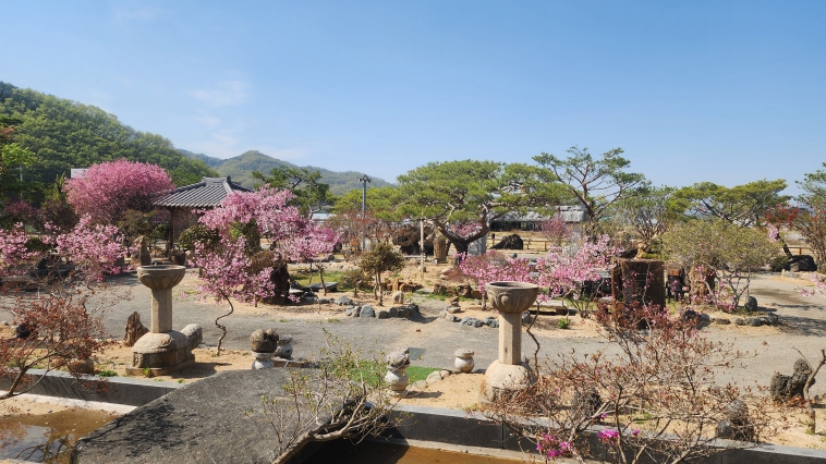 김천시, ‘김천문화예술정원’ 제1호 민간정원 등록, 희귀 수석과 5,100㎡ 주제정원 결합