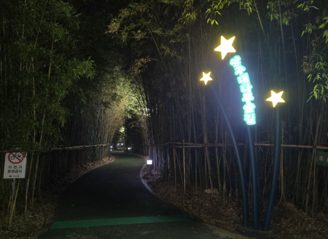 양산시, 양주동 대나무숲길 550m 경관조명 운영, 반딧불 빛으로 물드는 야간 산책길