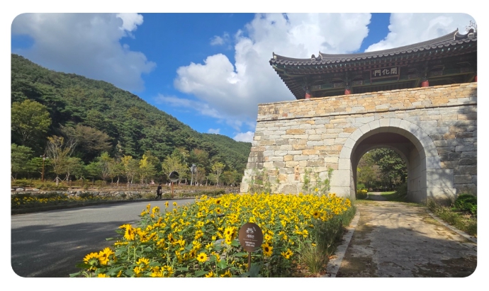 김제시, 모악산도립공원 해바라기 개화, 가을꽃과 이색 포토존 조성