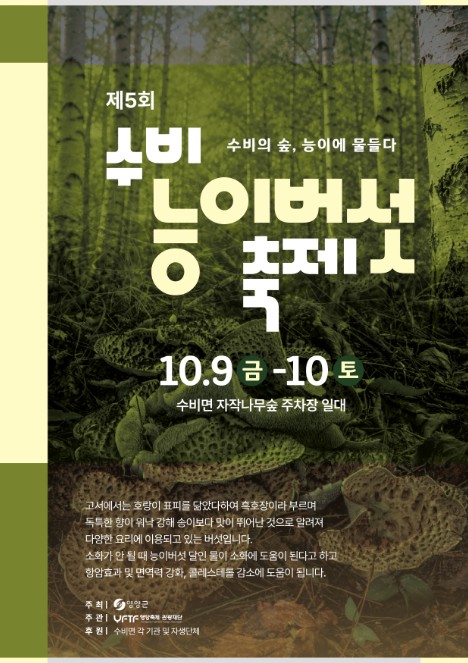 영양군, ‘제5회 수비능이버섯축제’ 10월 9~10일 개최, 자작나무숲에서 즐기는 가을 가족 나들이