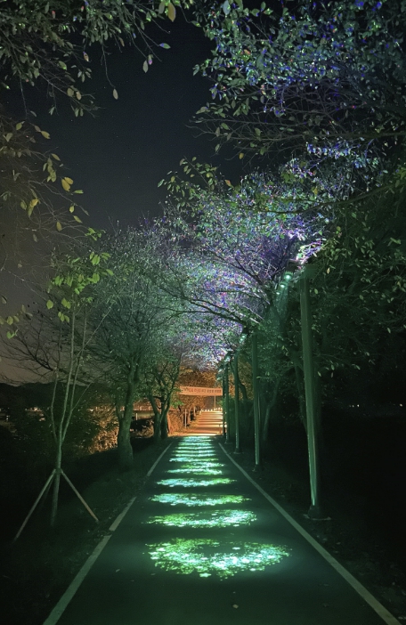 보은군, 보청천 자전거도로 2.5km 야간 경관조명 설치 완료, 안전한 산책길과 수변 볼거리
