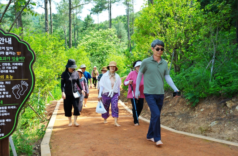 보성군, 제암산자연휴양림·보성차밭·율포해변 잇는 가을 치유 여행, 숲과 차·바다의 휴식