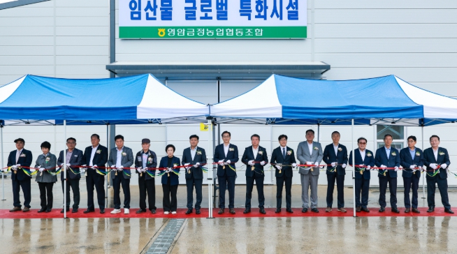 영암군, 10억 원 투입 대봉감 저장·유통시설 10월 20일 준공, 베트남 수출시장 확대