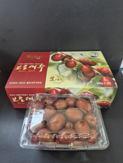 충청북도, 보은 생대추 현대백화점 전국 14개 지점에서 10월 23~25일 판매, 아삭한 식감과 높은 당도 홍보