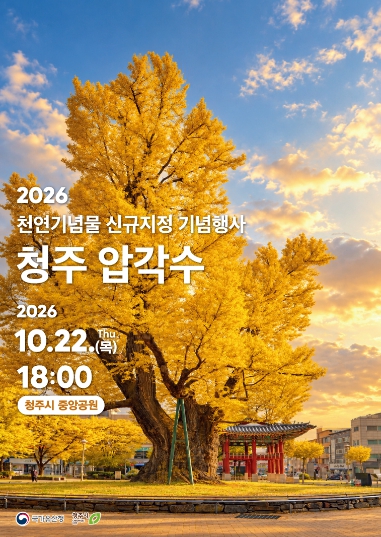 청주시, 천연기념물 ‘청주 압각수’ 지정 기념행사 10월 22일 개최, 900년 은행나무 역사 조명